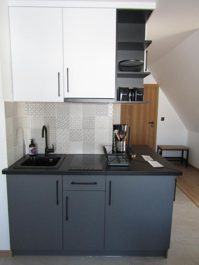 Domki Bialka & Apartamenty Extérieur photo